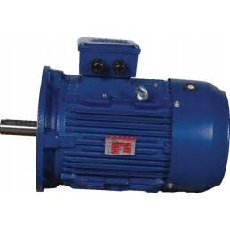 5 5 kW elektros variklis