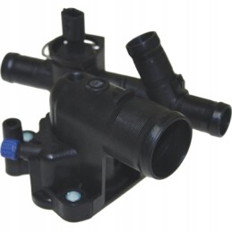 Gimimo kūno aušinimo sistema pasirinktinai su termosais