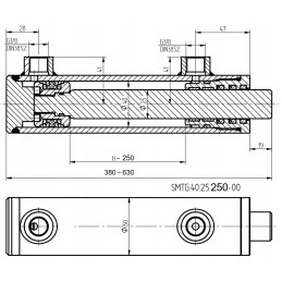 Hidraulinio cilindro pavara, stūmoklis 40x25, eiga 250