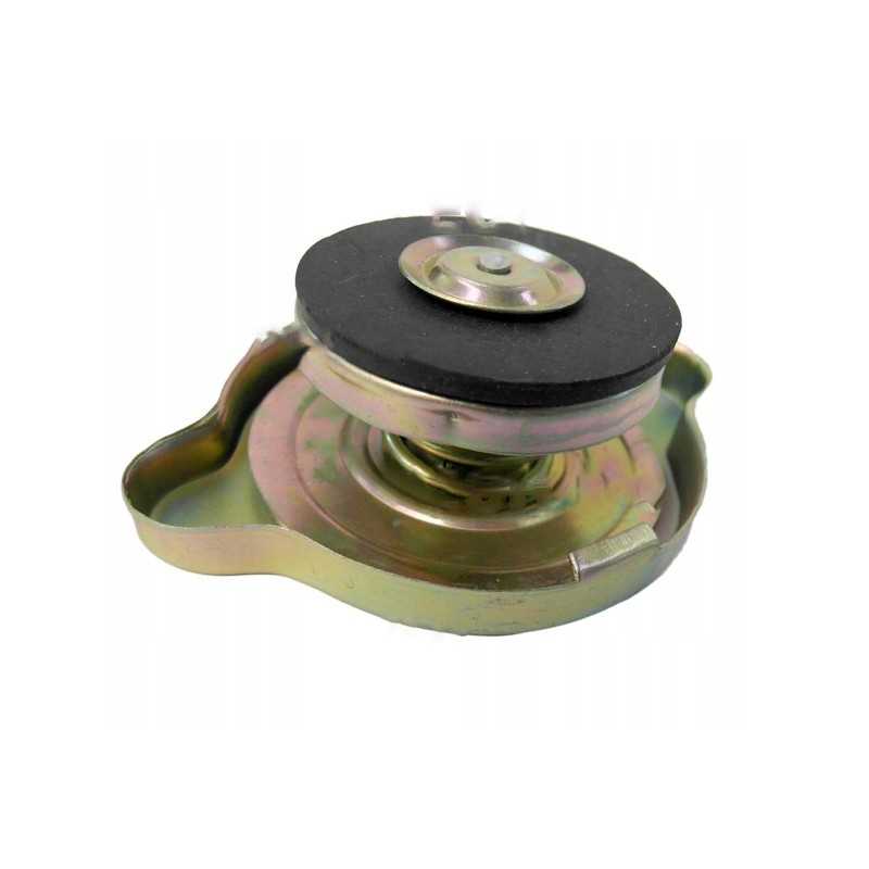 Vandens radiatoriaus dangtelis c 360 50413610 40011300 ap