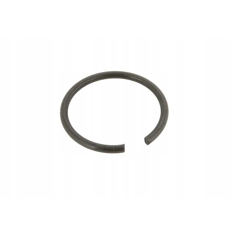 6005029889 pavaros kaiščio apsauga