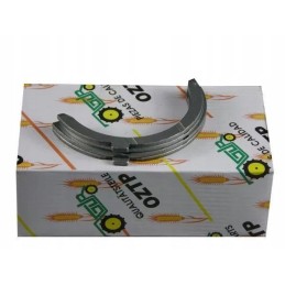 Alkūninio veleno pusžiedžiai 1 pjūvis 2230172 vok