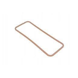 V836322898 vožtuvo dangtelio tarpinė