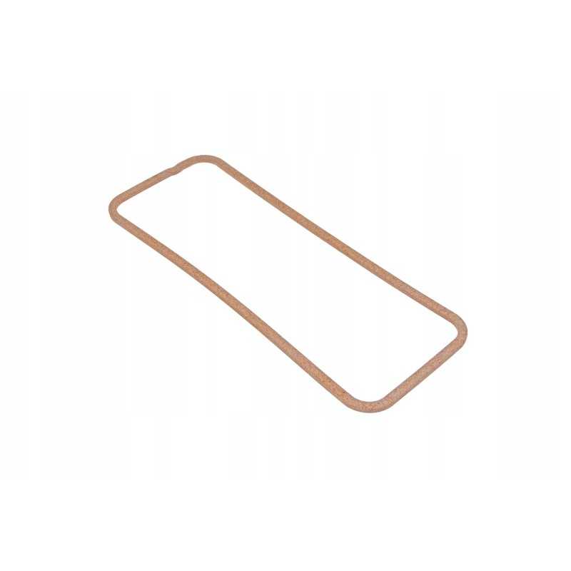 V836322898 vožtuvo dangtelio tarpinė