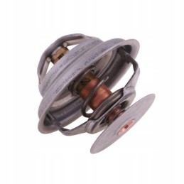 Termostato korpusas 162000060702 Polmo