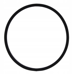 Filtro stiklo žiedas 8009984 5679997