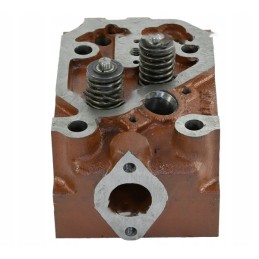 Sukomplektuota variklio galvutė, skirta c 360 46505110 950501