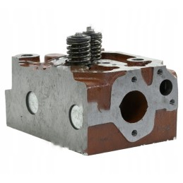 Sukomplektuota variklio galvutė, skirta c 360 46505110 950501