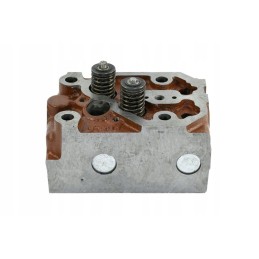 Sukomplektuota variklio galvutė, skirta c 360 46505110 950501