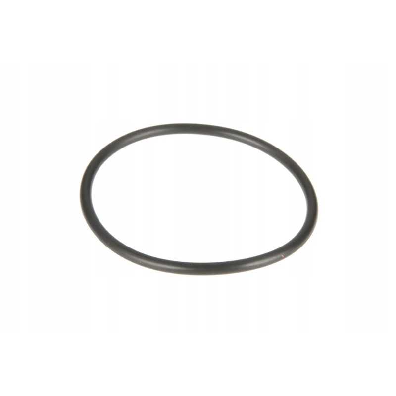 6005019224 O formos žiedas 63 9 x 3 53