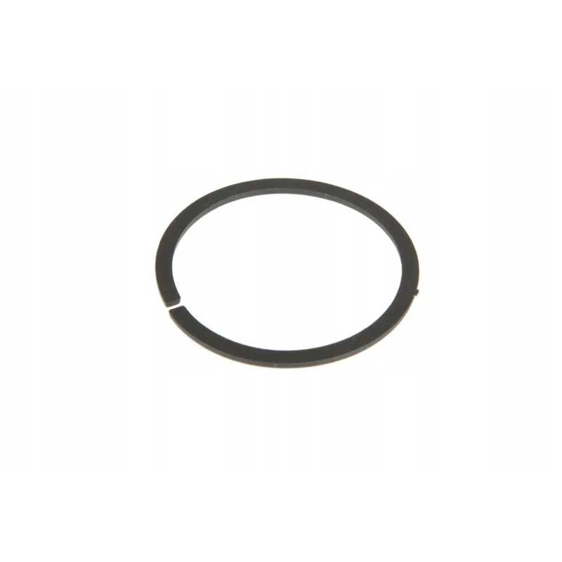 F119200710180 purkštuko tarpiklio žiedas pa