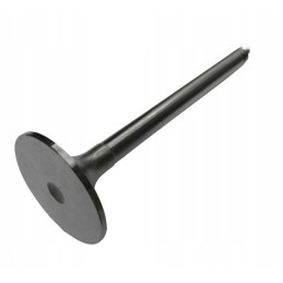 Chromuotas įsiurbimo vožtuvas Zetor 78005014 aparts