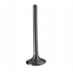 Chromuotas įsiurbimo vožtuvas Zetor 78005014 aparts