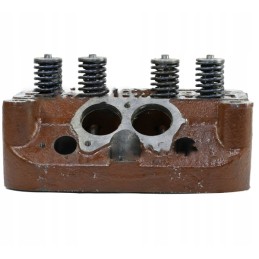 Sukomplektuota variklio galvutė, skirta c 330 42022020 styr