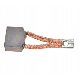 Seno tipo starterio šepetys, 1 vnt