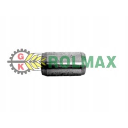 Vietos nustatymo kaištis 12x20 mm new Holland korpusas 4985063