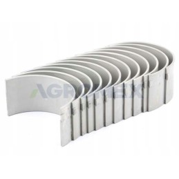 Švaistiklio guolių komplektas, vardinis C 385 6 cil