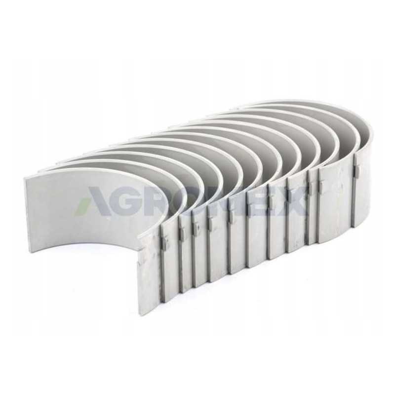 Švaistiklio guolių komplektas, vardinis C 385 6 cil