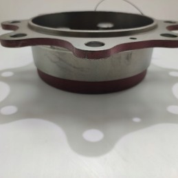 Būgnas naujajai olandijai 95