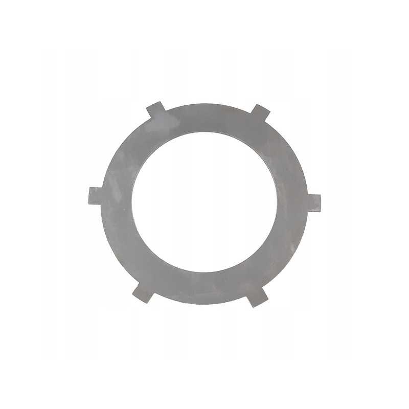 Frikcinio disko tarpiklis mf 3619156m1