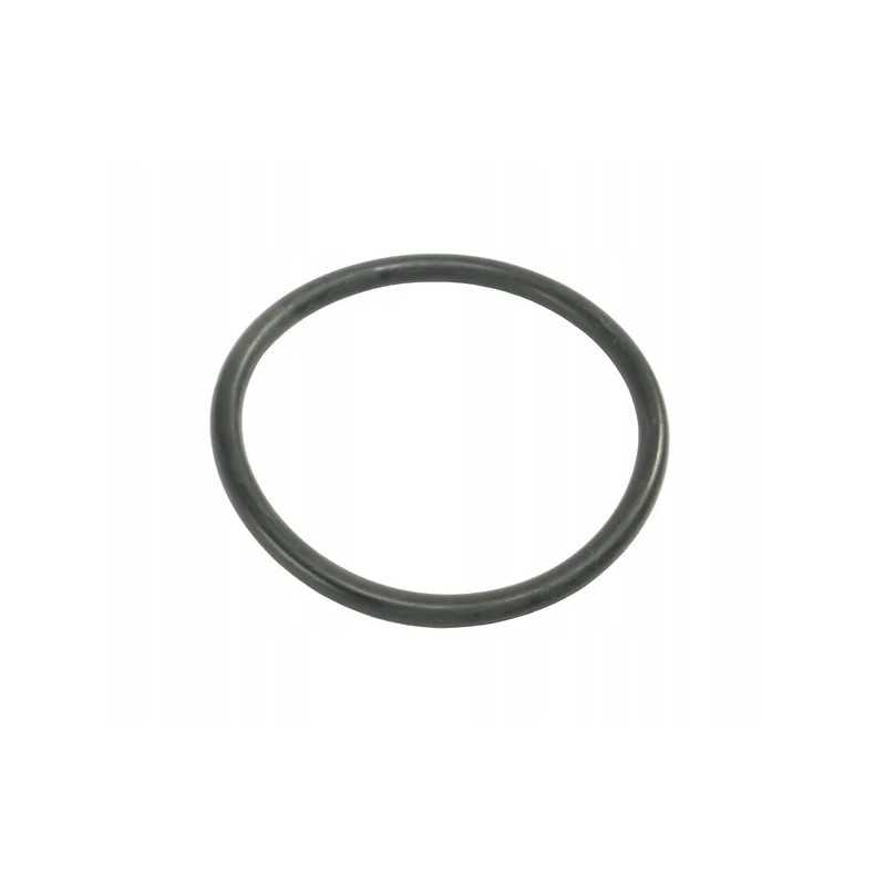 O-žiedo sandariklis