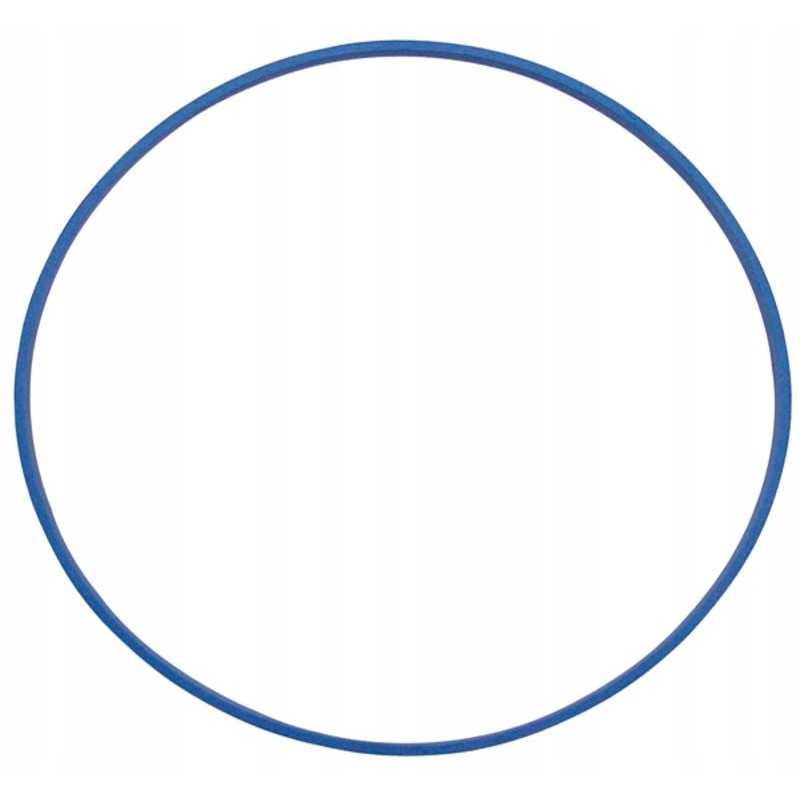 New Holland korpuso pakėlimo sandariklis 5125941