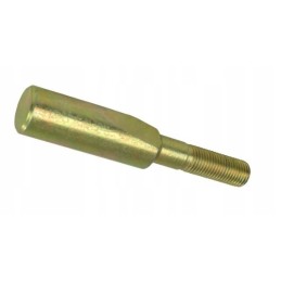 Priekinės ašies sijos kaištis mf 3 183031m1 aparts