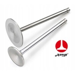 Siurbimo vožtuvas II John Deere Paradowski R98062