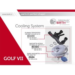 Gimimo įkrovos oro vamzdis