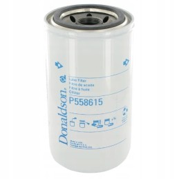 Alyvos filtras p558615