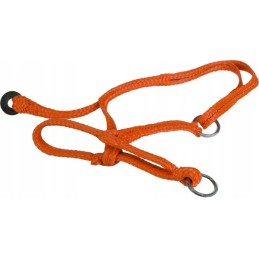 Apynasris telyčioms