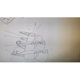 Pronar VMP10 pašarų vagono ašmenys originalūs