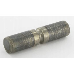 Kramp pavaros kaištis