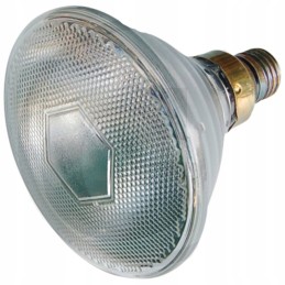 Baltas infraraudonųjų spindulių šildytuvas 175 vatai agtech