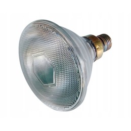 Lemputės radiatoriaus šildymo lempa kwoka 175w pora