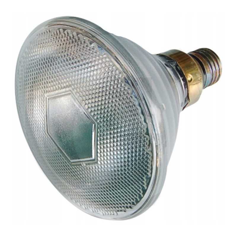 Lemputės radiatoriaus šildymo lempa kwoka 175w pora