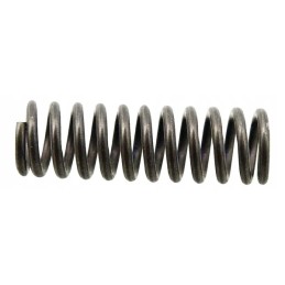 Perkrovos sankabos spyruoklė tinka sipm