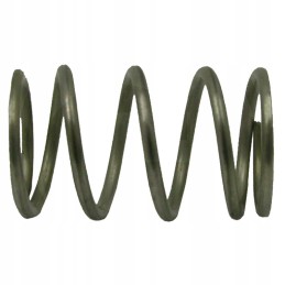 Metalinė vožtuvo spyruoklė Arato 92 laistytuvui