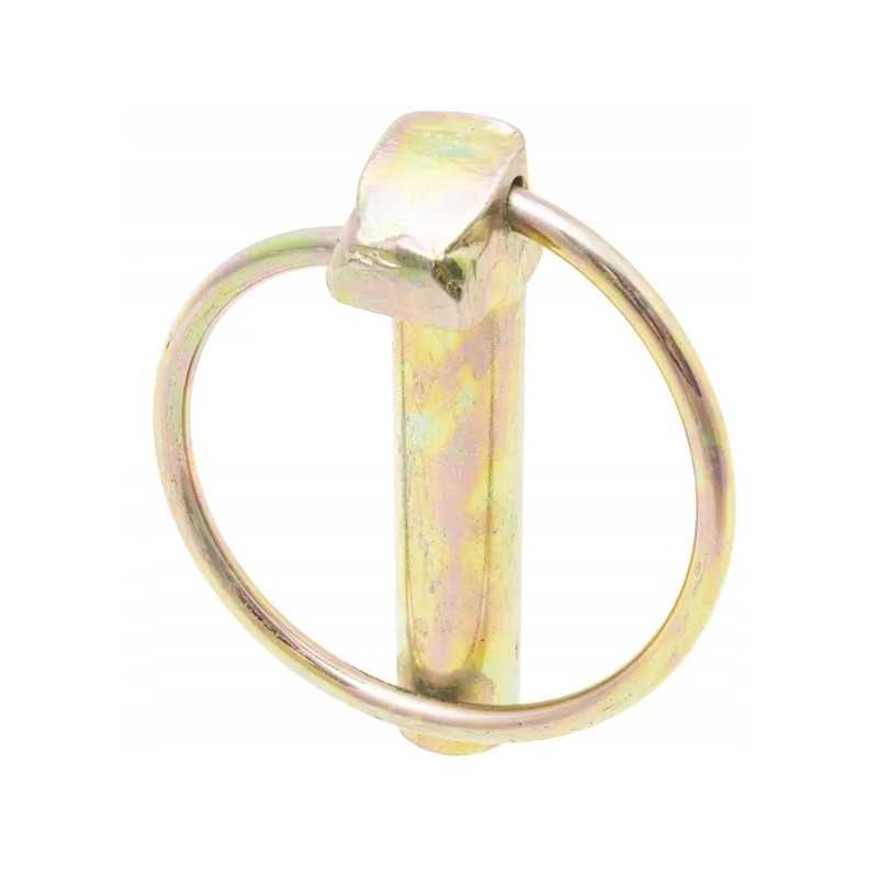 10 mm apsauginis kaištis