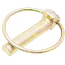 10 mm apsauginis kaištis