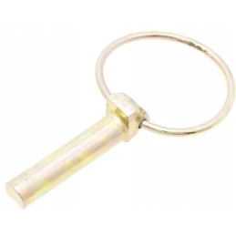 10 mm apsauginis kaištis