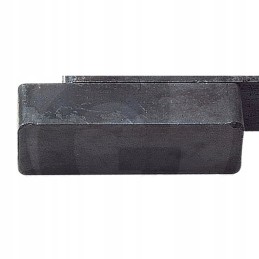 Narvo magnetas, neleidžiantis praryti svetimkūnių