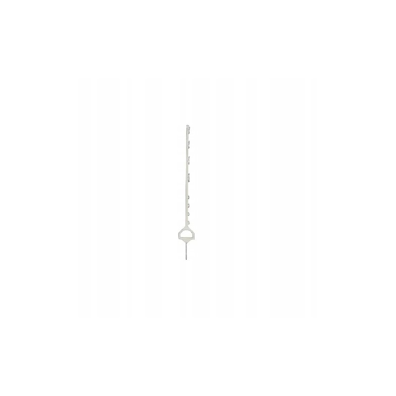 Kuolas su balnakilpuku, 158 cm, baltas