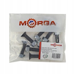 Kūginis šešiakampis sraigtas tiekimo vagono ašmenims m10x40 10 9