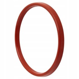 1580011021s silikoninio vamzdžio sandariklis 20 l