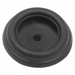 Seno tipo kolektoriaus vožtuvo užsikimšimas