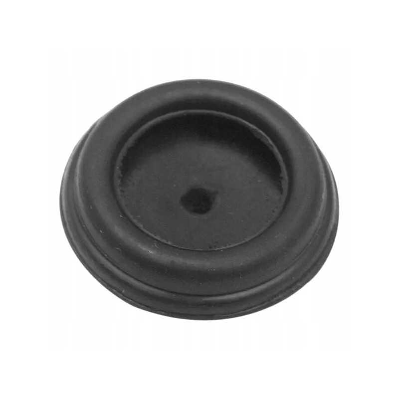 Seno tipo kolektoriaus vožtuvo užsikimšimas