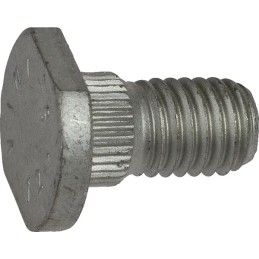 Varžtas pjovimo juostai