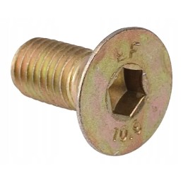 Peilio laikiklio varžtas m12x25 mm tinka z 105 z