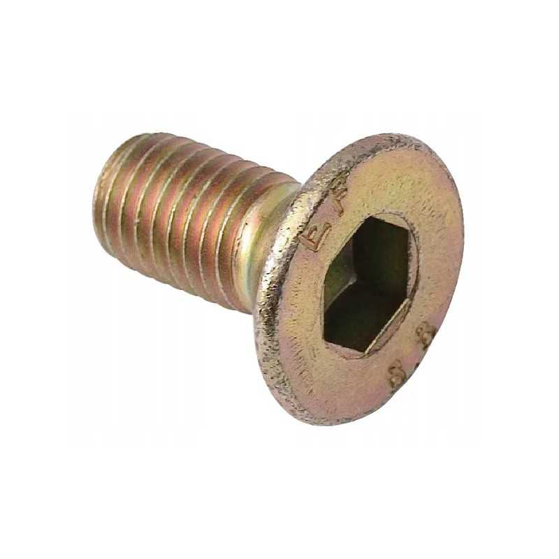 Plokštės varžtas m12x25 mm tinka z 070 z 105 z